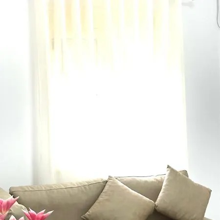 Aiden's House 2 招待所